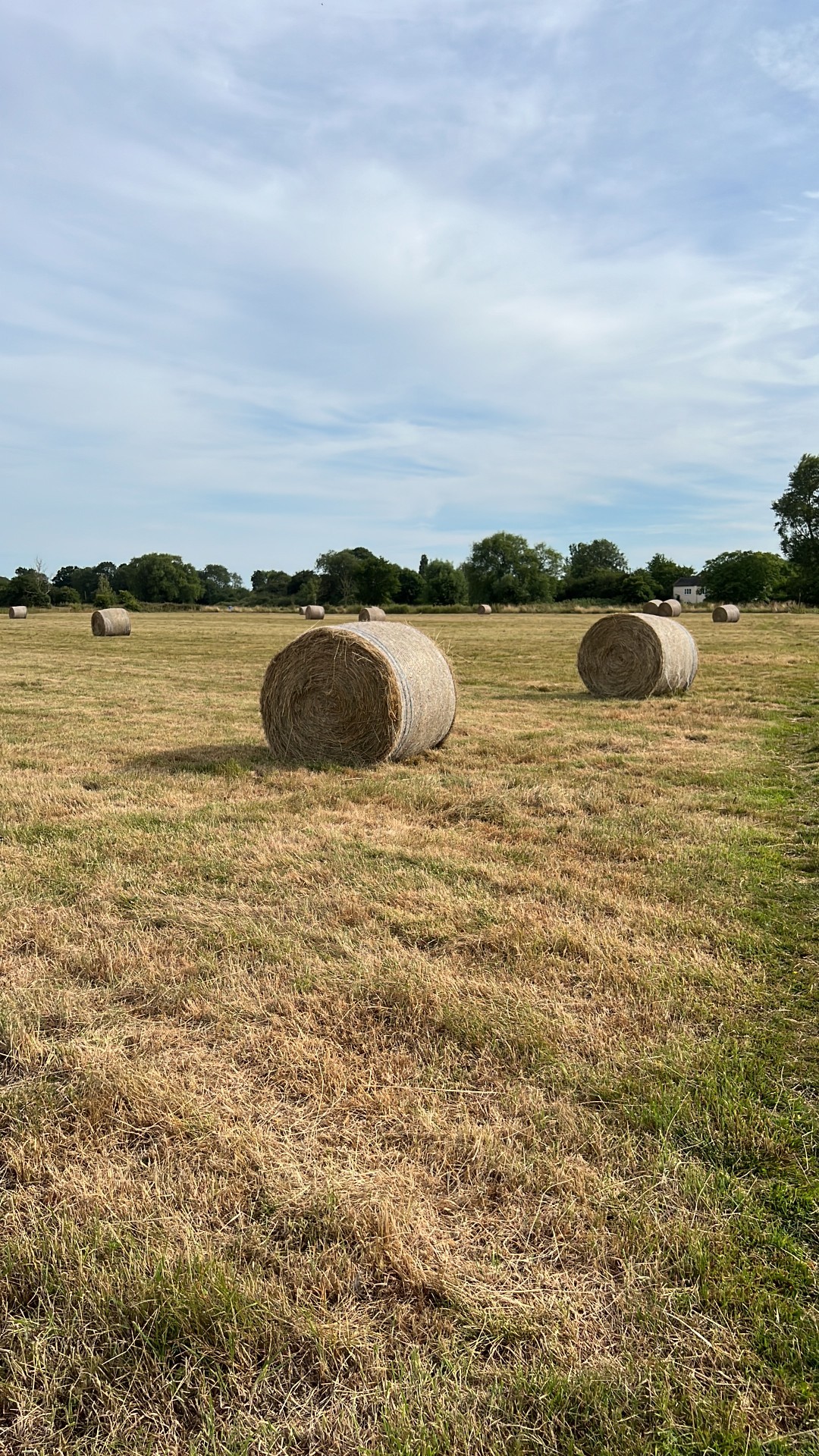 All Saints Common High Summer