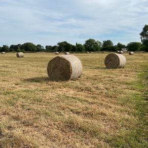 All Saints Common high summer