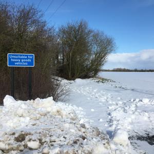 All Saints Common track on eastern side towards Moat Farm - Heather Hughes-Jones