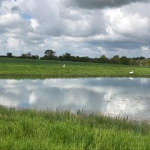 Hall Farm Fishing Lakes St Nicholas - Lisa Simmonds