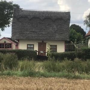 Rumburgh Street - Lisa Simmonds