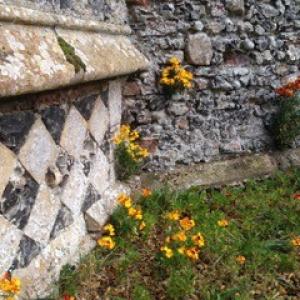 St Peters - Lisa Simmonds