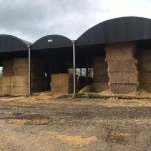 The Poplars barn on the Concrete Rd in St Michael - Lisa Simmonds